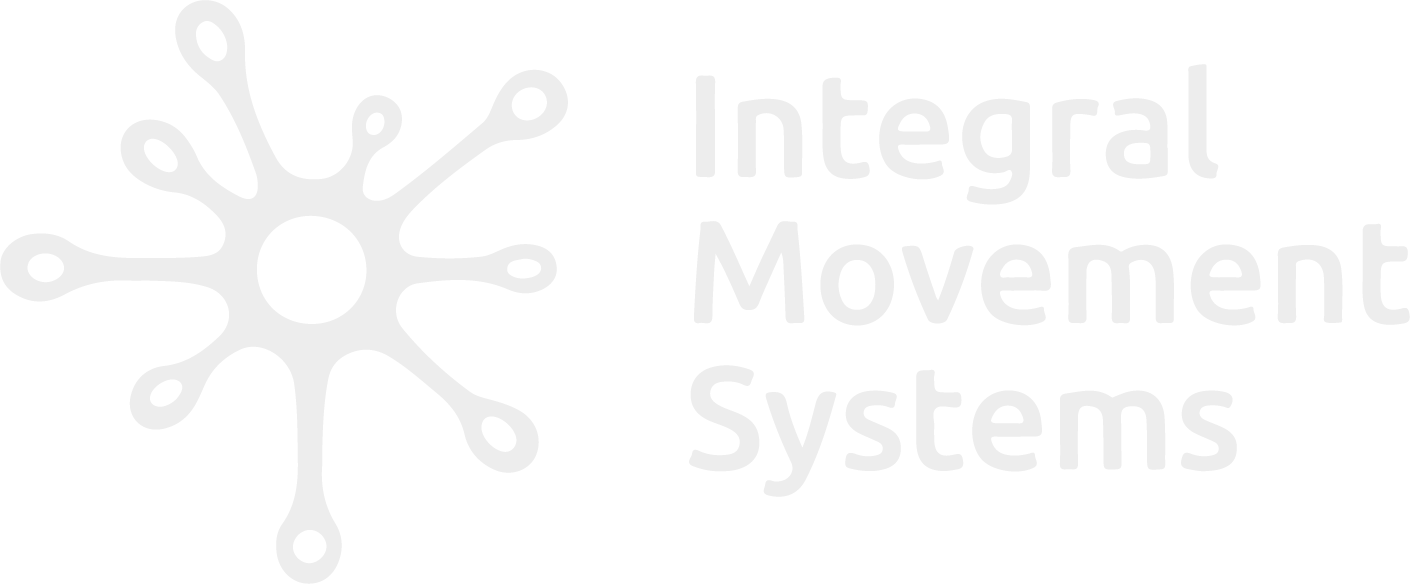 LOGO IMS