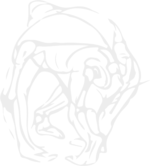 Recurso 35