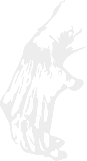 Recurso 37